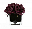 Big Diffuseur de Roses lum & Cube noir Herve Gambs Paris