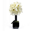 Diffuser 20 White Orchids 20*40  Herve Gambs Paris