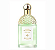 Aqua Allegoria Rosa Verde Guerlain